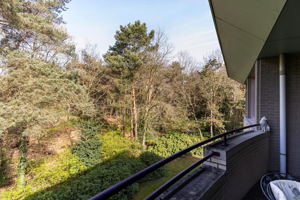 Medium property photo - Duinlaan 173, 5691 EJ Son en Breugel